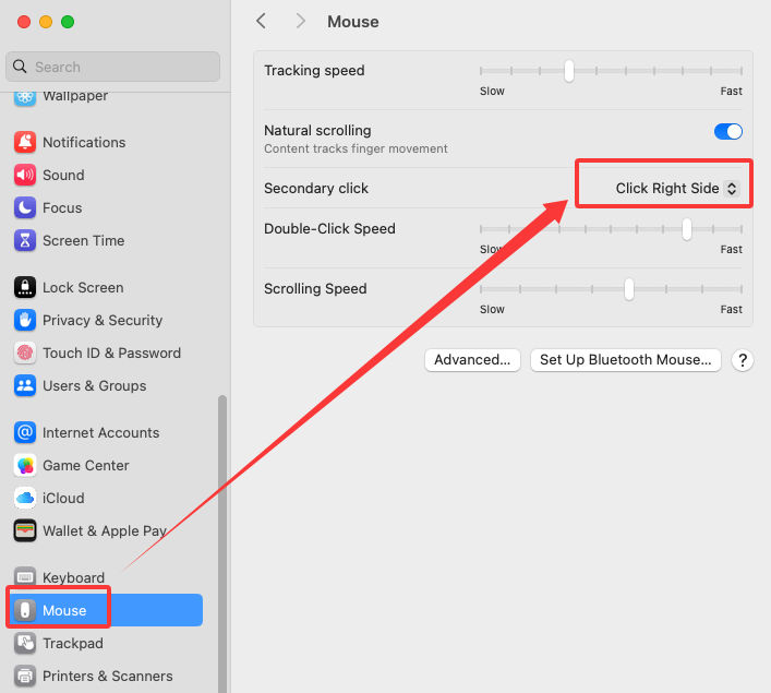 Mouse Settings