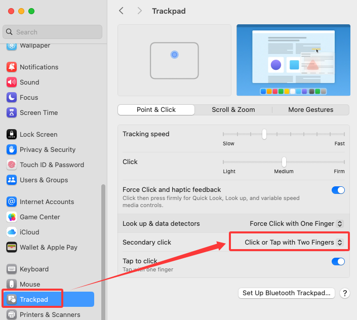 Trackpad Settings